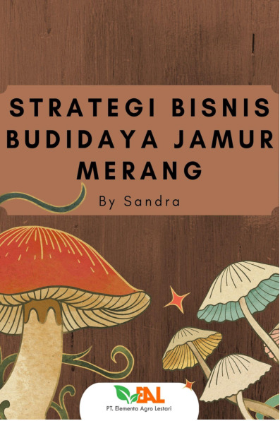 Sampul buku Strategi Bisnis Budi...